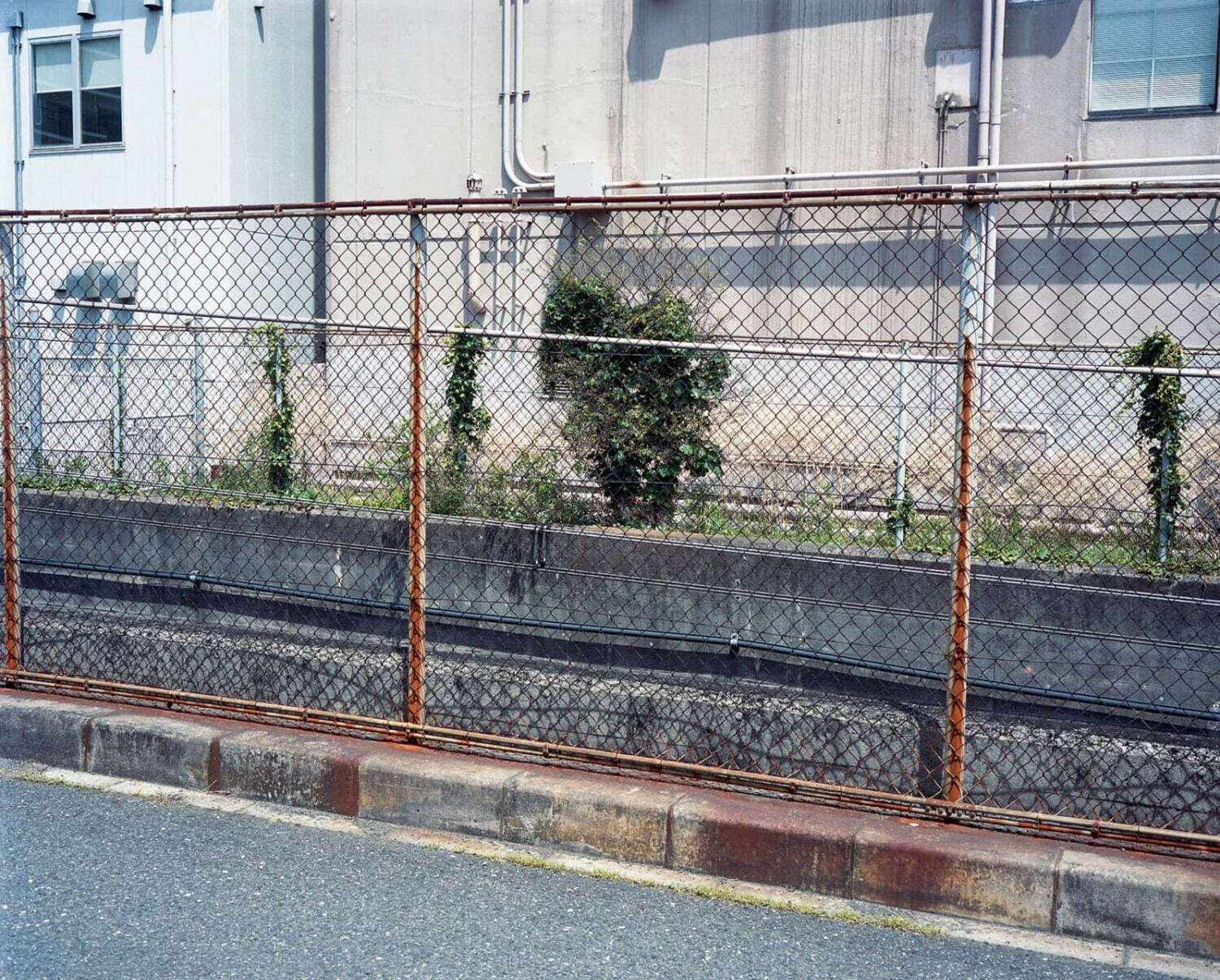 コーヘン 2021-22年秋冬<span>コレクション</span> - 写真36