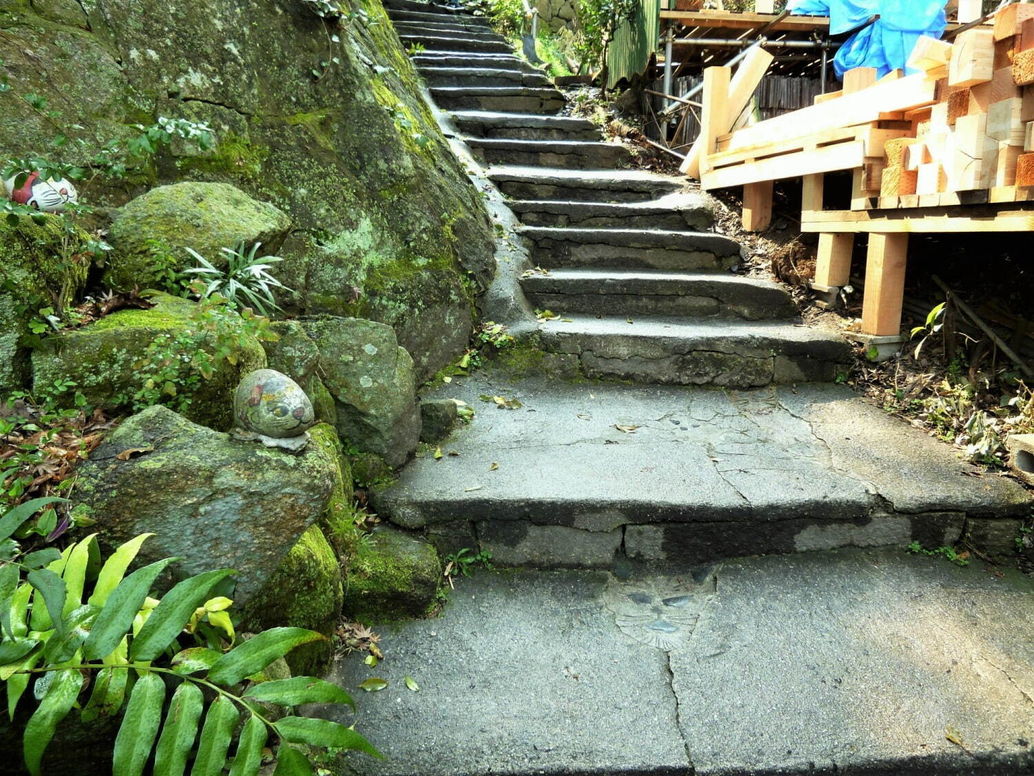 広島のおすすめ観光地 - 猫好きに人気の尾道や酒蔵巡りができる竹原など、広島グルメも紹介｜写真31