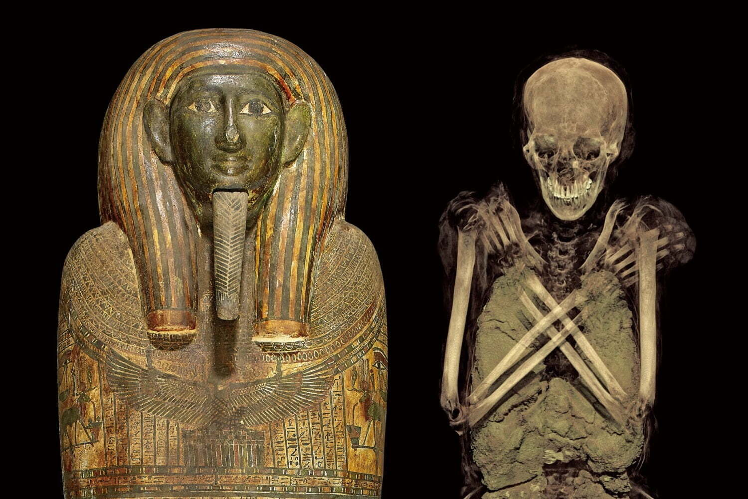 特別展「大英博物館ミイラ展」神戸で - 6体のミイラをCTスキャンで解析、古代エジプトの謎に迫る