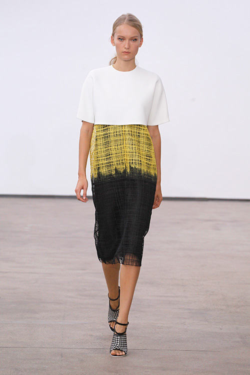 デレク ラム(DEREK LAM) 2014年春夏ウィメンズコレクション  - 写真17