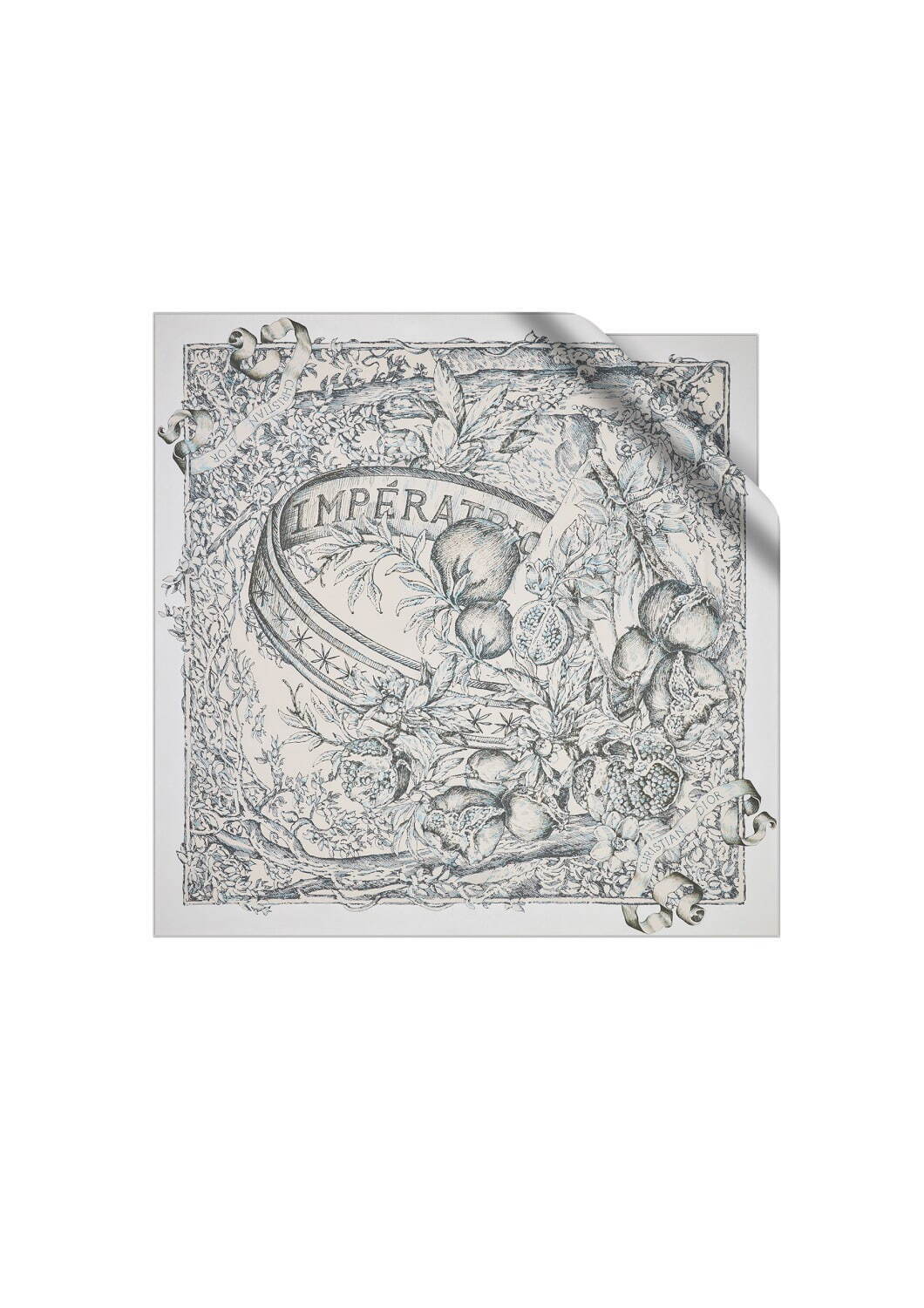 ディオール(DIOR) 審判 力｜写真6