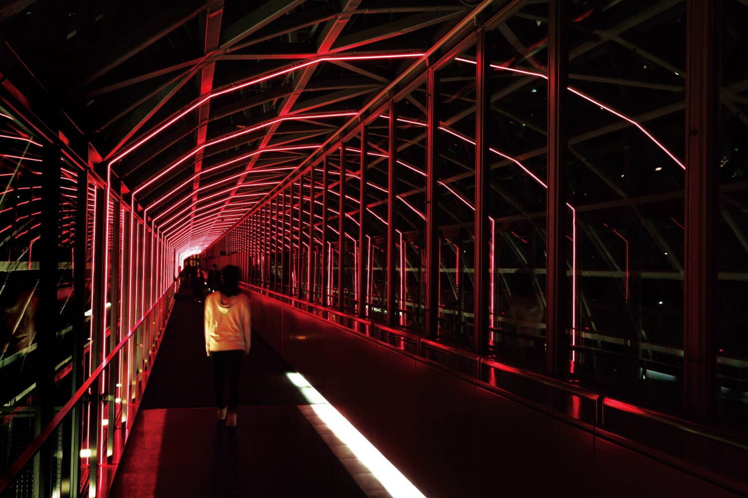 京都駅ビルのイルミネーション2021、約1万5千個LED灯る大階段や高さ45m空中径路ライトアップ｜写真7