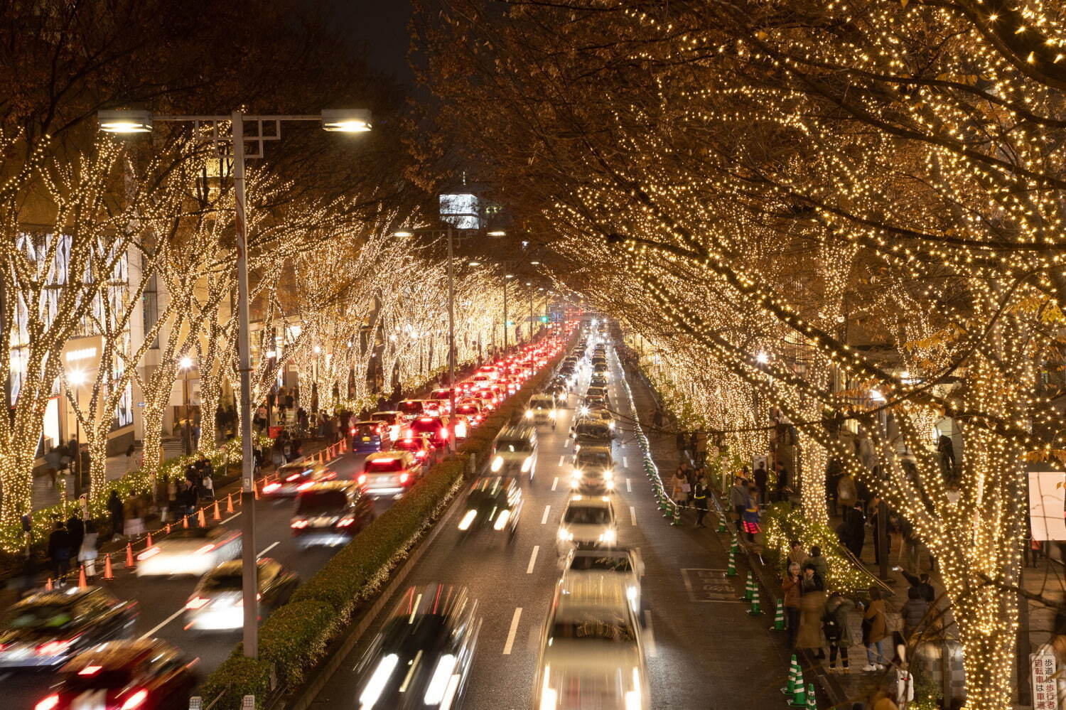 「表参道イルミネーション 2021」神宮橋～表参道交差点のケヤキ並木約1kmをライトアップ｜写真1