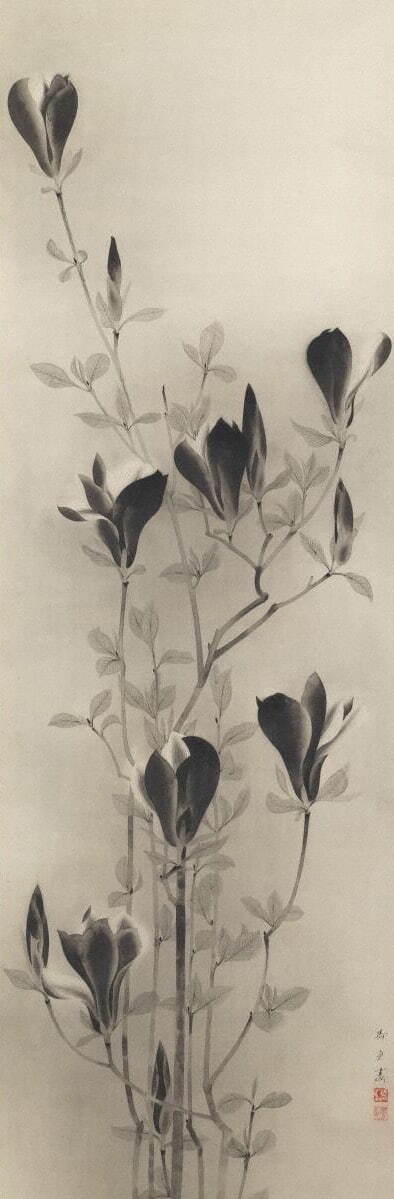 速水御舟《木蓮(春園麗華)》(部分) 1926年(大正15) 岡田美術館蔵［前期］