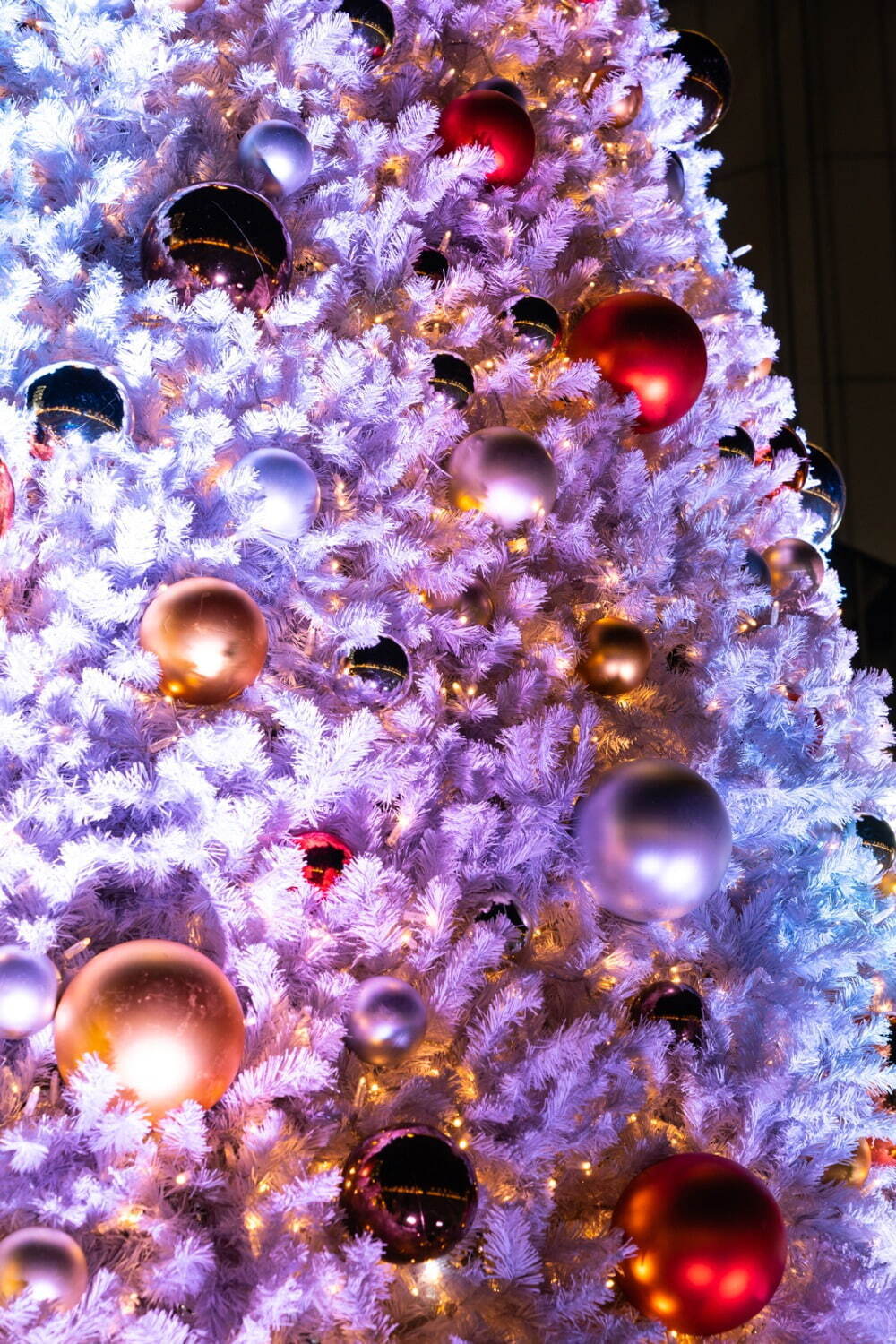 東京スカイツリータウンのクリスマス2021、煌く“マジカル”イルミネーションなど夜のデートプランにも｜写真19