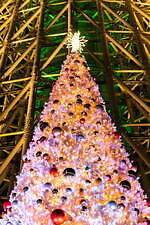 東京スカイツリータウンのクリスマス2021、煌く“マジカル”イルミネーションなど夜のデートプランにも｜写真18