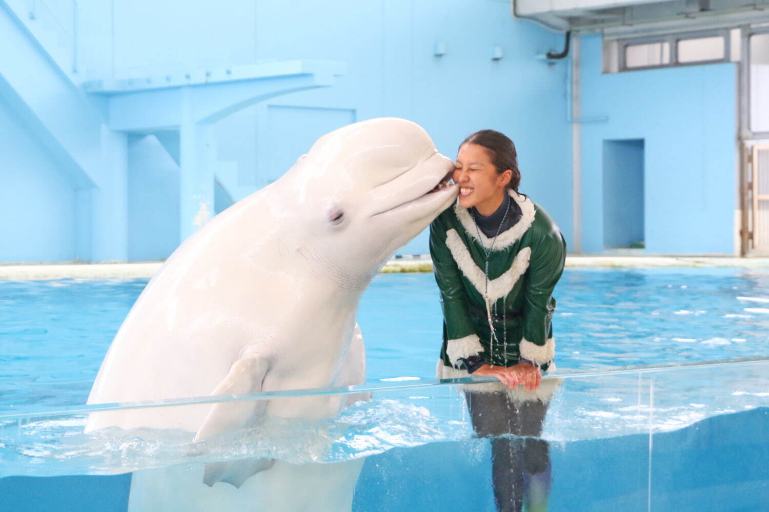 横浜・八景島シーパラダイスのクリスマス、幻想的な限定イルカショーやペンギンパレードなど｜写真8