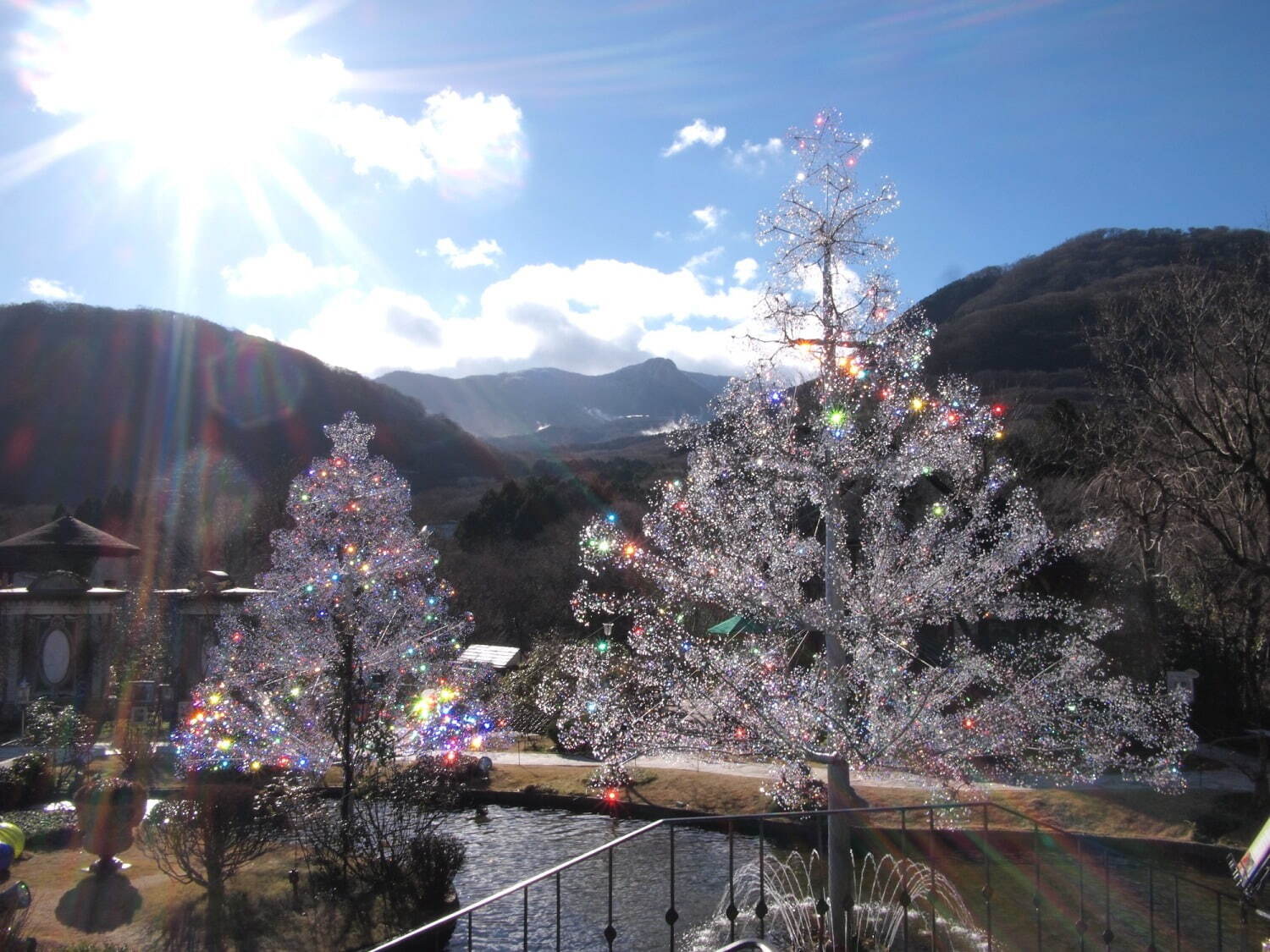 “15万粒のクリスタルガラス”クリスマスツリーが箱根ガラスの森美術館に、ライトアップも｜写真2