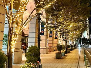 「大丸神戸店旧居留地イルミネーション」明石町筋沿いの街路樹を約40,000球の電球でイルミネート｜写真1