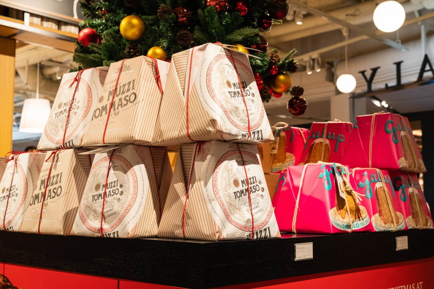 イータリー銀座店が贈る“イタリアンなクリスマス”人気の伝統菓子パネットーネ、クリスマス限定コースも｜写真8
