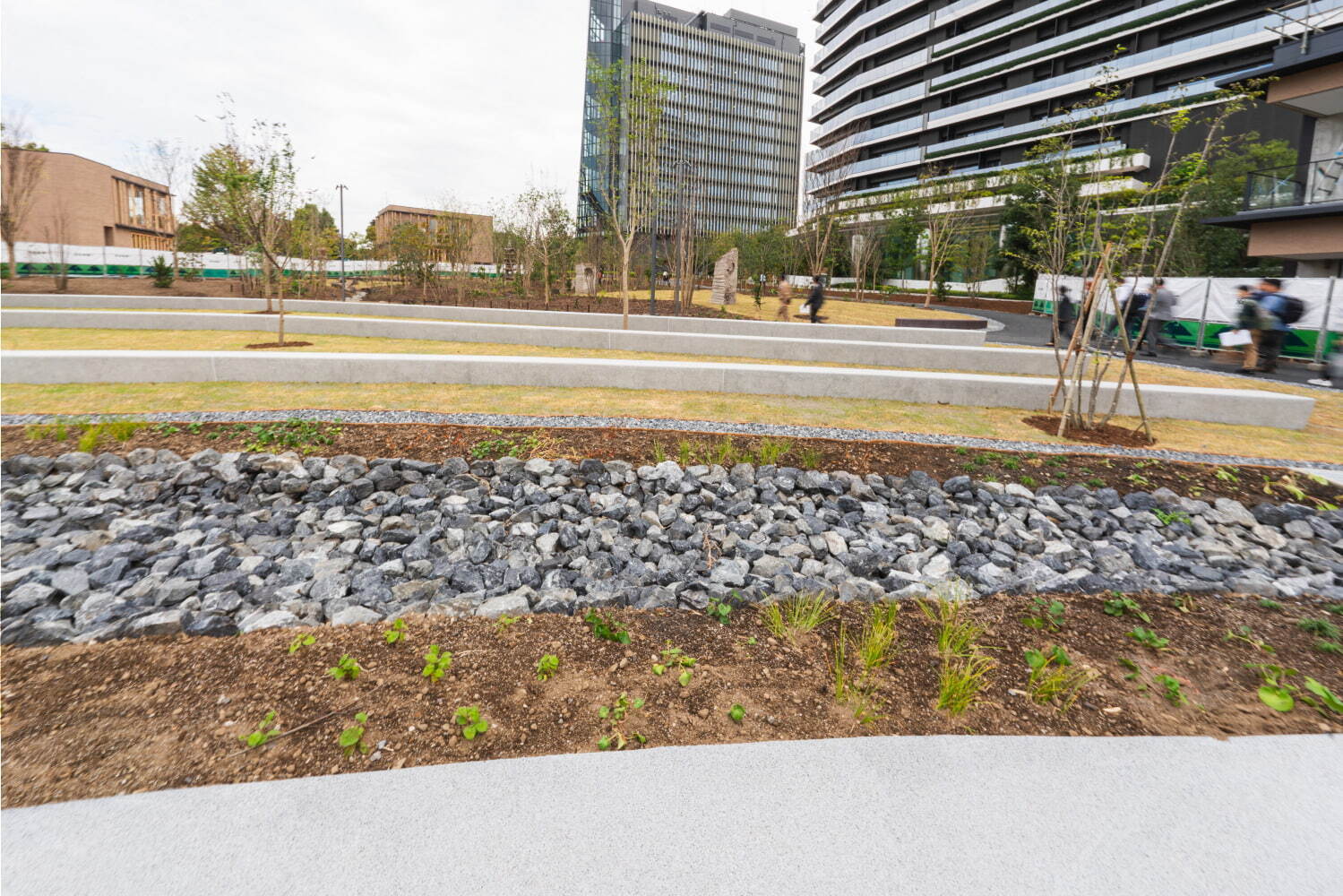 「都立明治公園」新国立競技場隣接の緑溢れる公園施設 - 3つの広場や樹林地、カフェ＆レストランも｜写真11