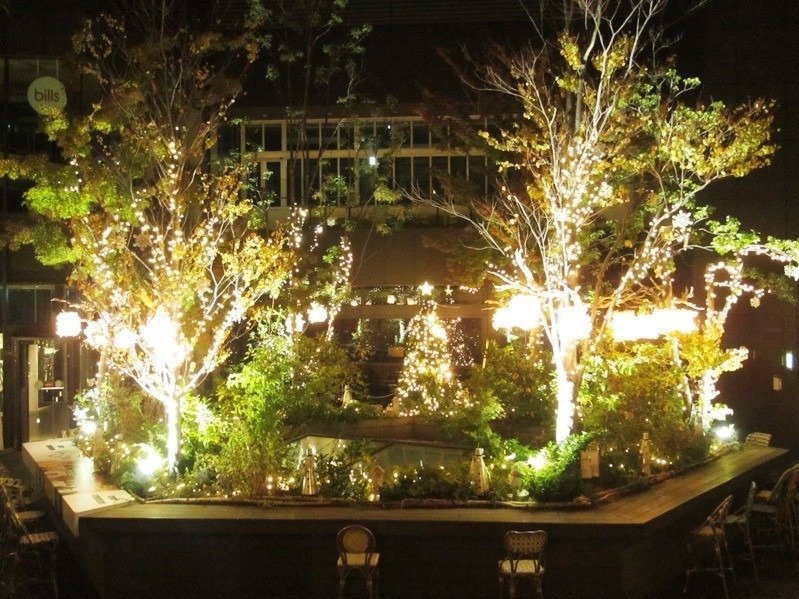 東急プラザ表参道原宿のクリスマスイルミネーション、樹木囲む屋上テラスを1万6千球の光でライトアップ｜写真3