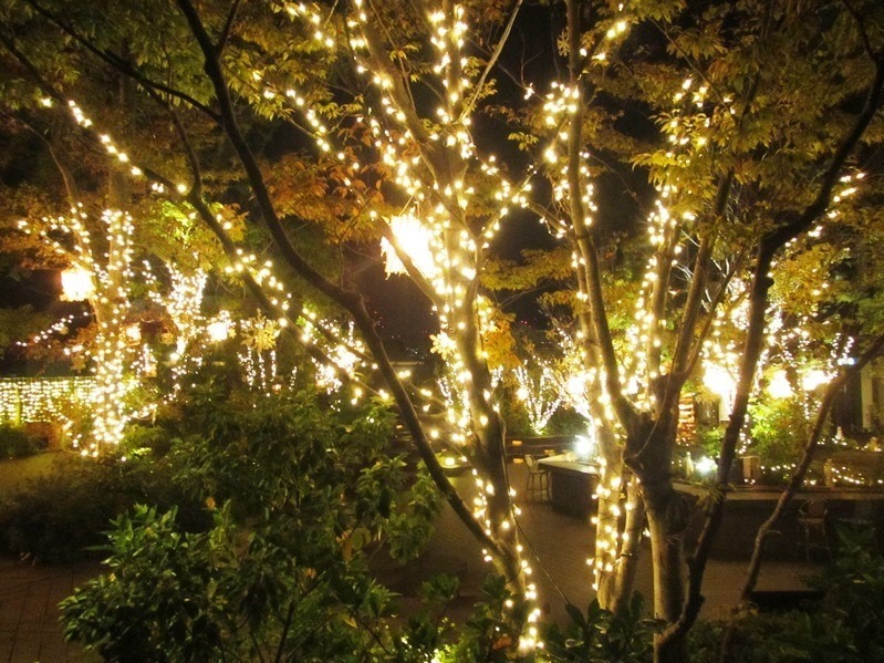 東急プラザ表参道原宿のクリスマスイルミネーション、樹木囲む屋上テラスを1万6千球の光でライトアップ｜写真4
