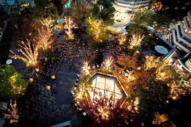 東急プラザ表参道原宿のクリスマスイルミネーション、樹木囲む屋上テラスを1万6千球の光でライトアップ
