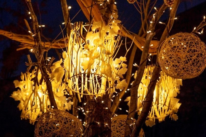 東急プラザ表参道原宿のクリスマスイルミネーション、樹木囲む屋上テラスを1万6千球の光でライトアップ｜写真1