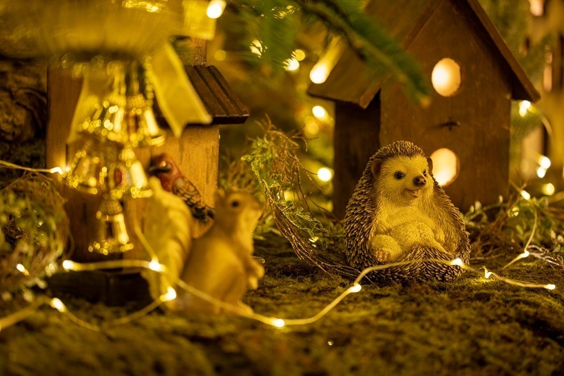 横浜ベイクォーターのクリスマスイルミネーション「ほしくずの森」3万球超が輝く“ほしくずのカーテン”｜写真3