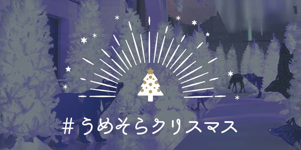 梅田スカイビル・空中庭園のクリスマスイベント、"天空の森"イルミネーションや星空グランピング｜写真19