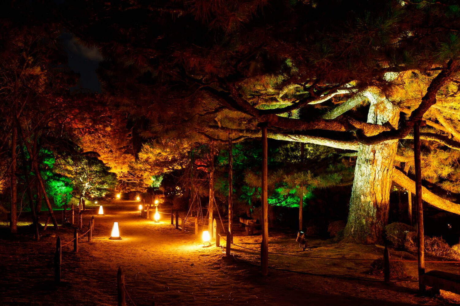 京都・平安神宮を夜間参拝、ネイキッドの新アート展「ネイキッドヨルモウデ 平安神宮」｜写真8