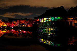 京都・平安神宮を夜間参拝、ネイキッドの新アート展「ネイキッドヨルモウデ 平安神宮」｜写真9