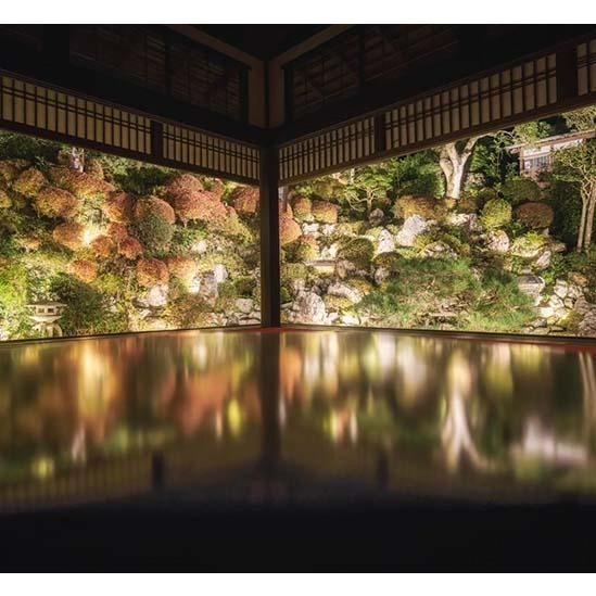 竹取物語のモデル 京都 柳谷観音で 紅葉イベント 花手水や夜のライトアップ ファッションプレス