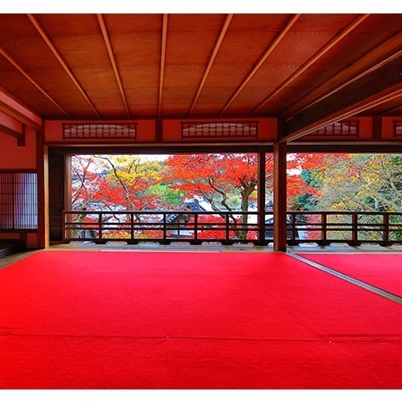 “竹取物語のモデル”京都・柳谷観音で「紅葉イベント」花手水や夜のライトアップ｜写真4