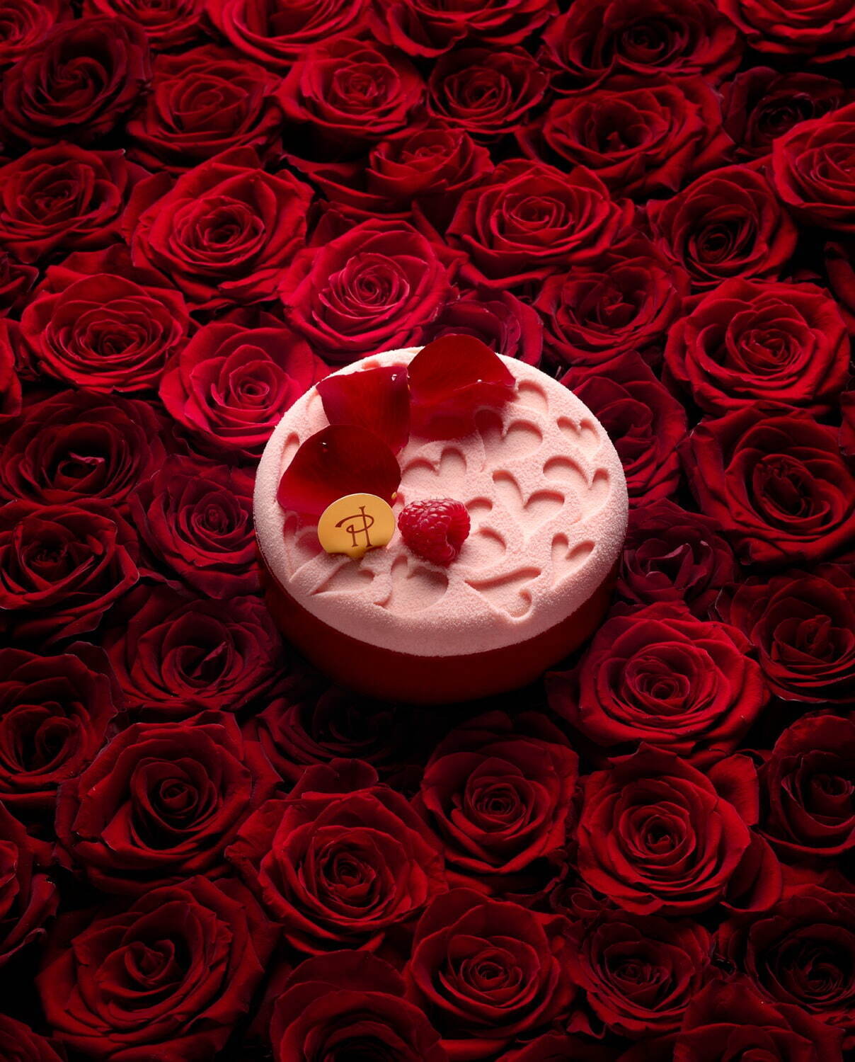 ピエール・エルメ・パリのホワイトデー2022"花が彩る"限定マカロンボックス＆ハート型ケーキ｜写真11