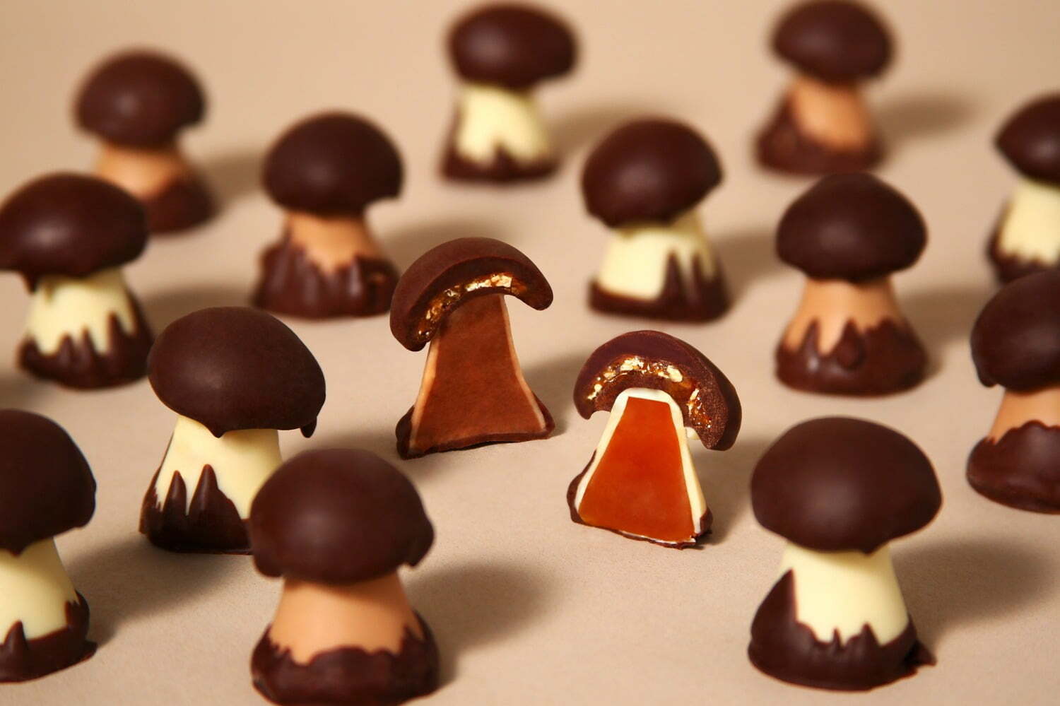 仏名門ショコラ「クルイゼル」2022年バレンタイン、きのこチョコ