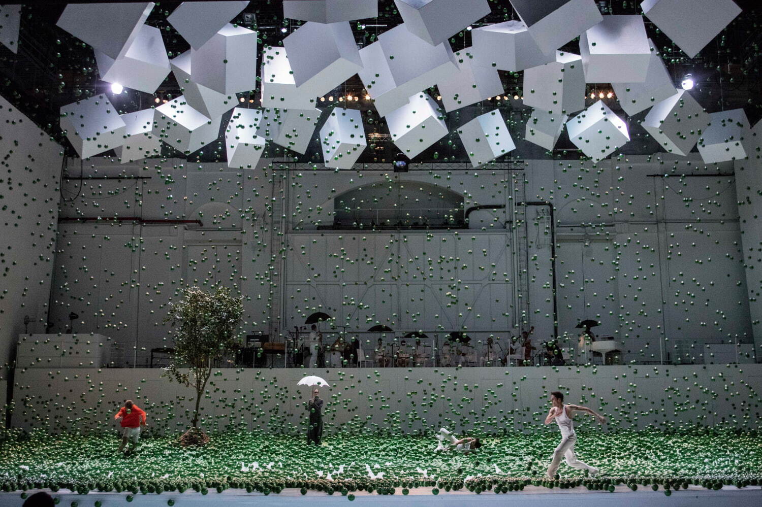 パリ・オペラ座バレエ シネマ『シンデレラ』名作バレエを全国の映画館で、衣装は森英恵｜写真4