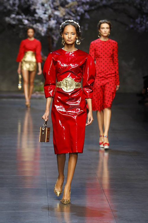 ドルチェ＆ガッバーナ 2014年春夏<span>コレクション</span> - 写真73