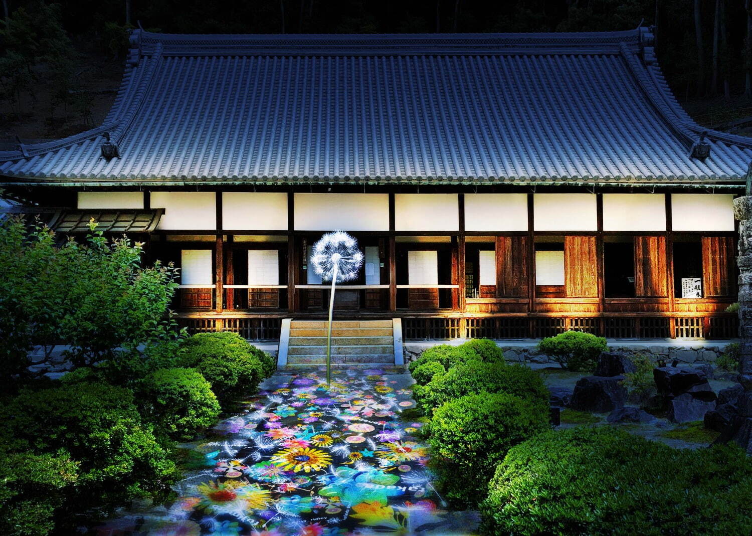 京都 興聖寺の夜間拝観と たんぽぽの綿毛 が舞う光のアートがコラボ 寺院ライトアップとともに ファッションプレス 京都 興聖寺の夜間拝観と たんぽぽの綿毛 が舞う光のアートがコラボ 寺院ライトアップとともに ファッションプレス