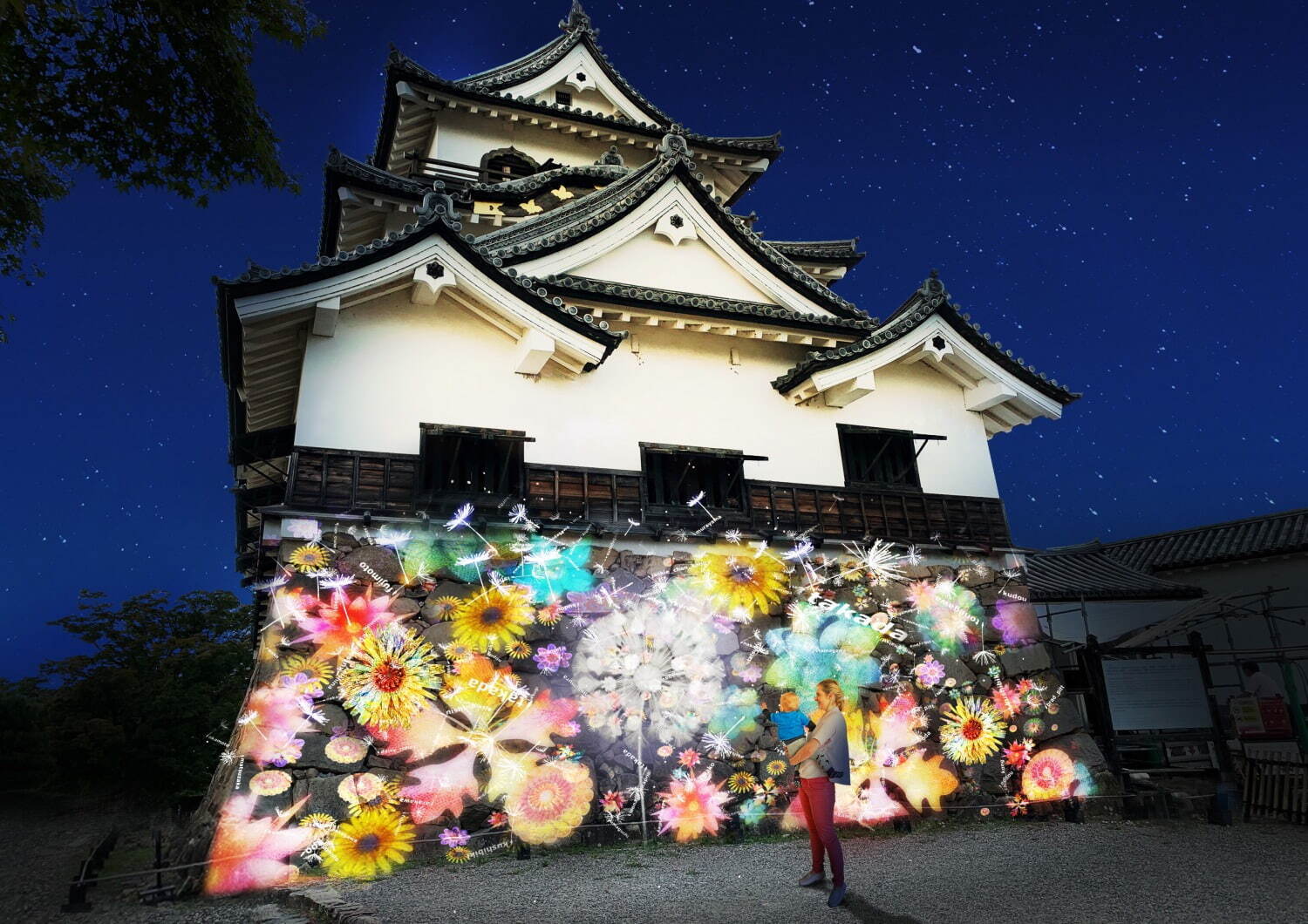京都・興聖寺の夜間拝観と"たんぽぽの綿毛"が舞う光のアートがコラボ、寺院ライトアップとともに｜写真5