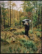 タトラスのダウンウェアが1点物アートピースチェアに、気鋭アーティストKOTA KAWAIとコラボ｜写真3