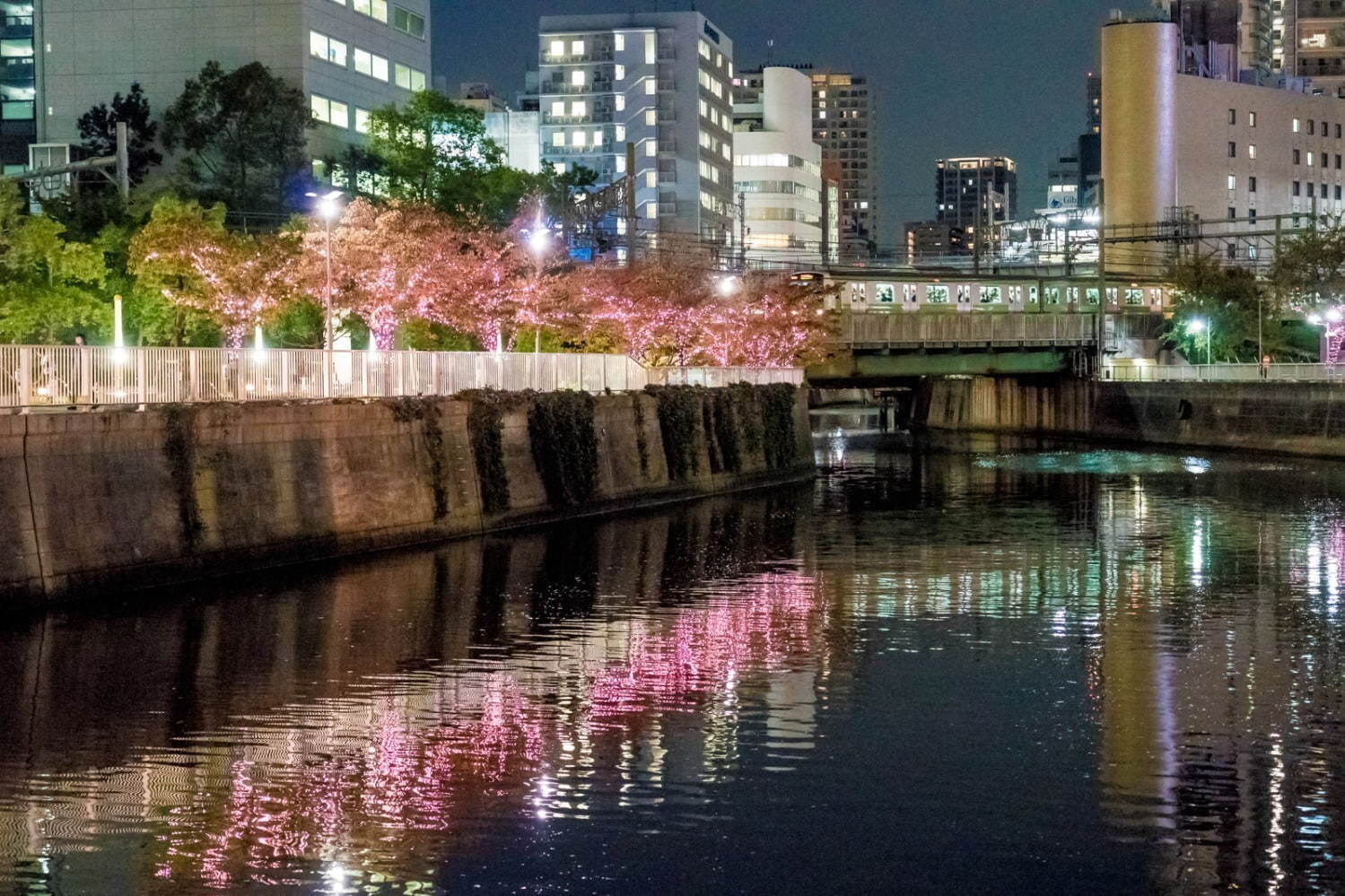 「目黒川みんなのイルミネーション2021」2年ぶりに開催、“冬の桜”LED約35万個が点灯｜写真2