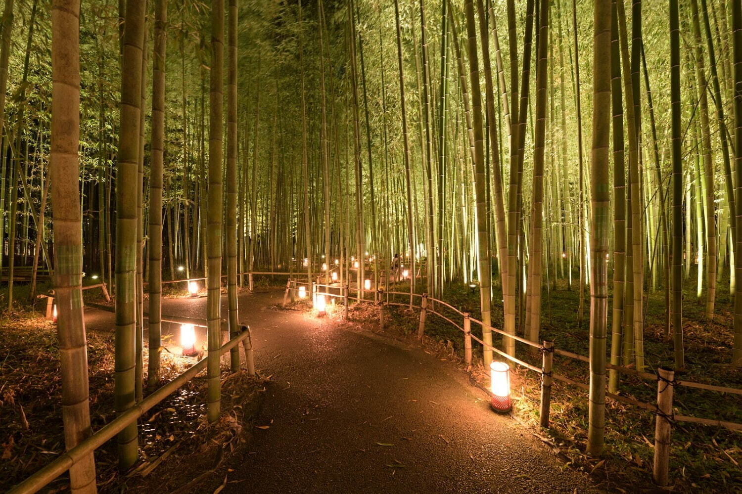 「京都・嵐山花灯路-2021」“最後の開催”、渡月橋や竹林の小径のライトアップ｜写真3