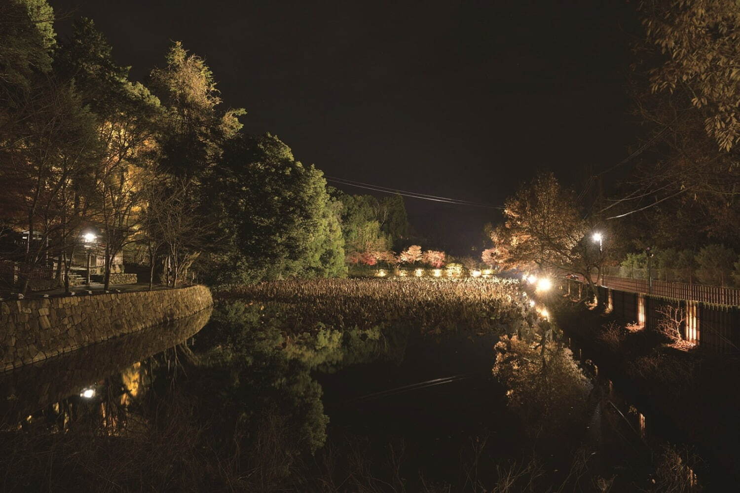 「京都・嵐山花灯路-2021」“最後の開催”、渡月橋や竹林の小径のライトアップ｜写真4