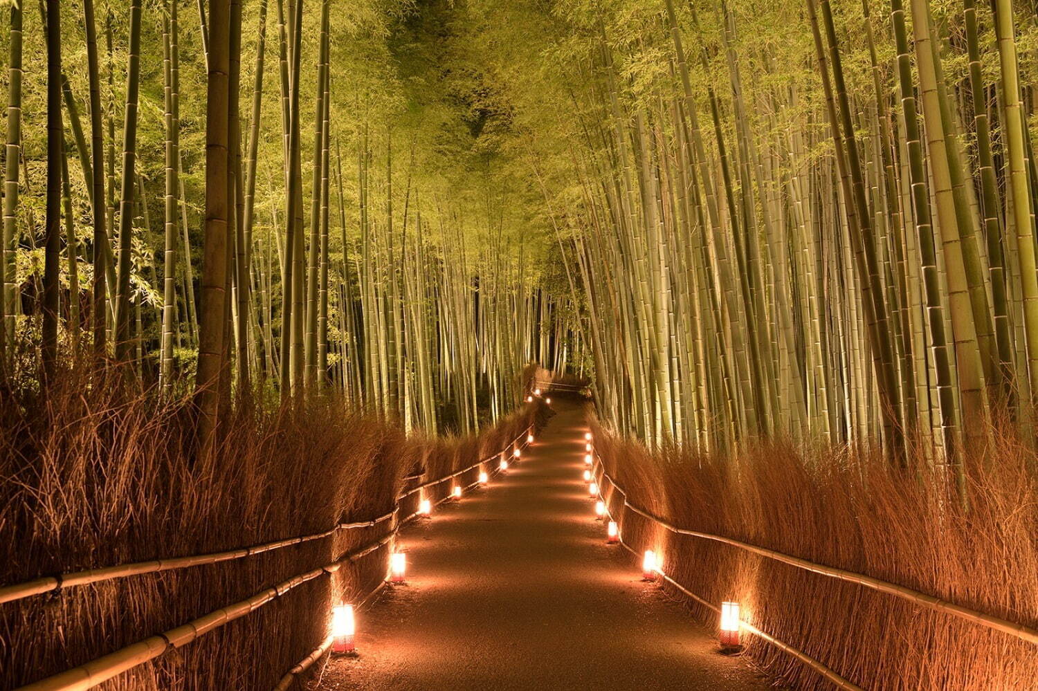 「京都・嵐山花灯路-2021」“最後の開催”、渡月橋や竹林の小径のライトアップ｜写真2