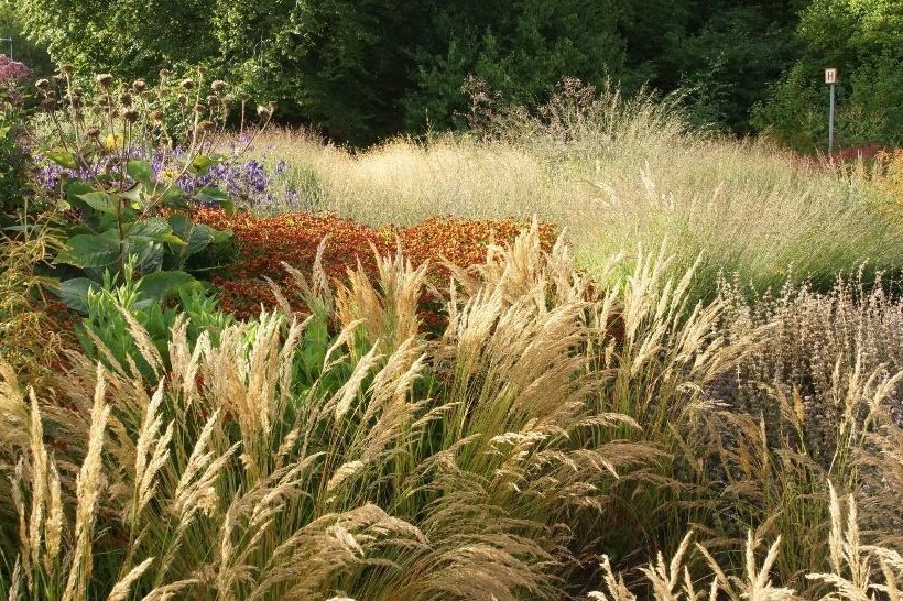 庭園｜よみうりランド隣接フラワーパーク「HANA・BIYORI」ピィト・アゥドルフのガーデンが日本初登場