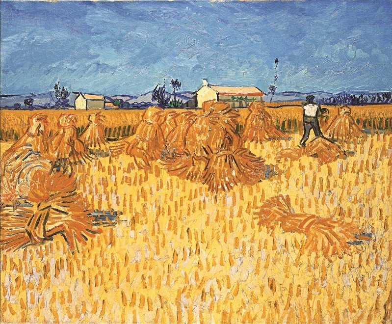 フィンセント・ファン・ゴッホ《プロヴァンスの収穫期》1888年、油彩／カンヴァス、51.0×60.0cm、イスラエル博物館蔵
Gift of Yad Hanadiv, Jerusalem, from the collection of Miriam Alexandrine de Rothschild, 
daughter of the first Baron Edmond de Rothschild
Photo © The Israel Museum, Jerusalem by Avshalom Avital