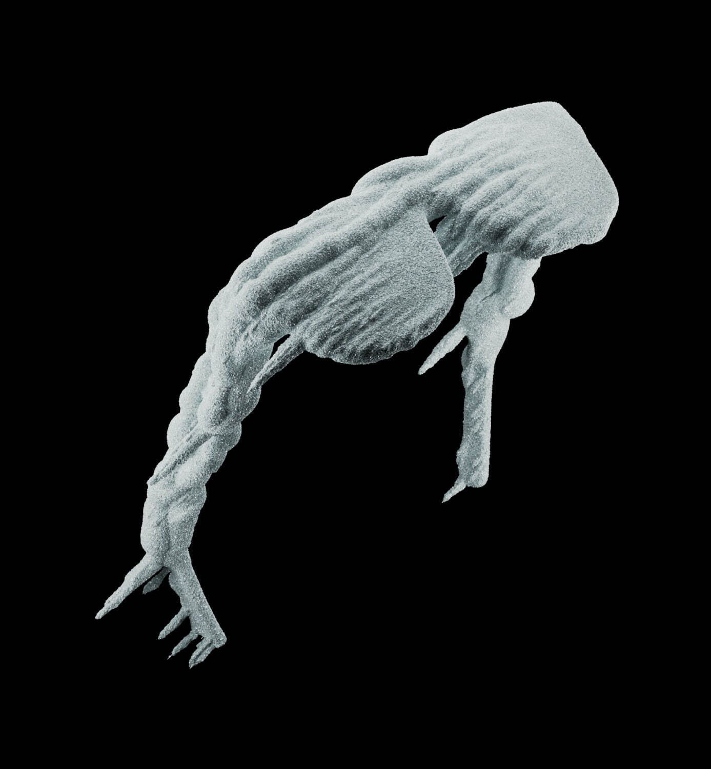 ディオール(DIOR) サドル｜写真31