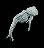 ディオール(DIOR) サドル｜写真31