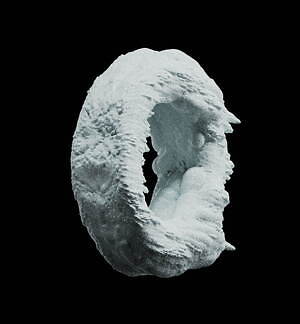 ディオール(DIOR) サドル｜写真20