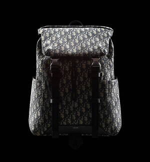 ディオール(DIOR) サドル｜写真10