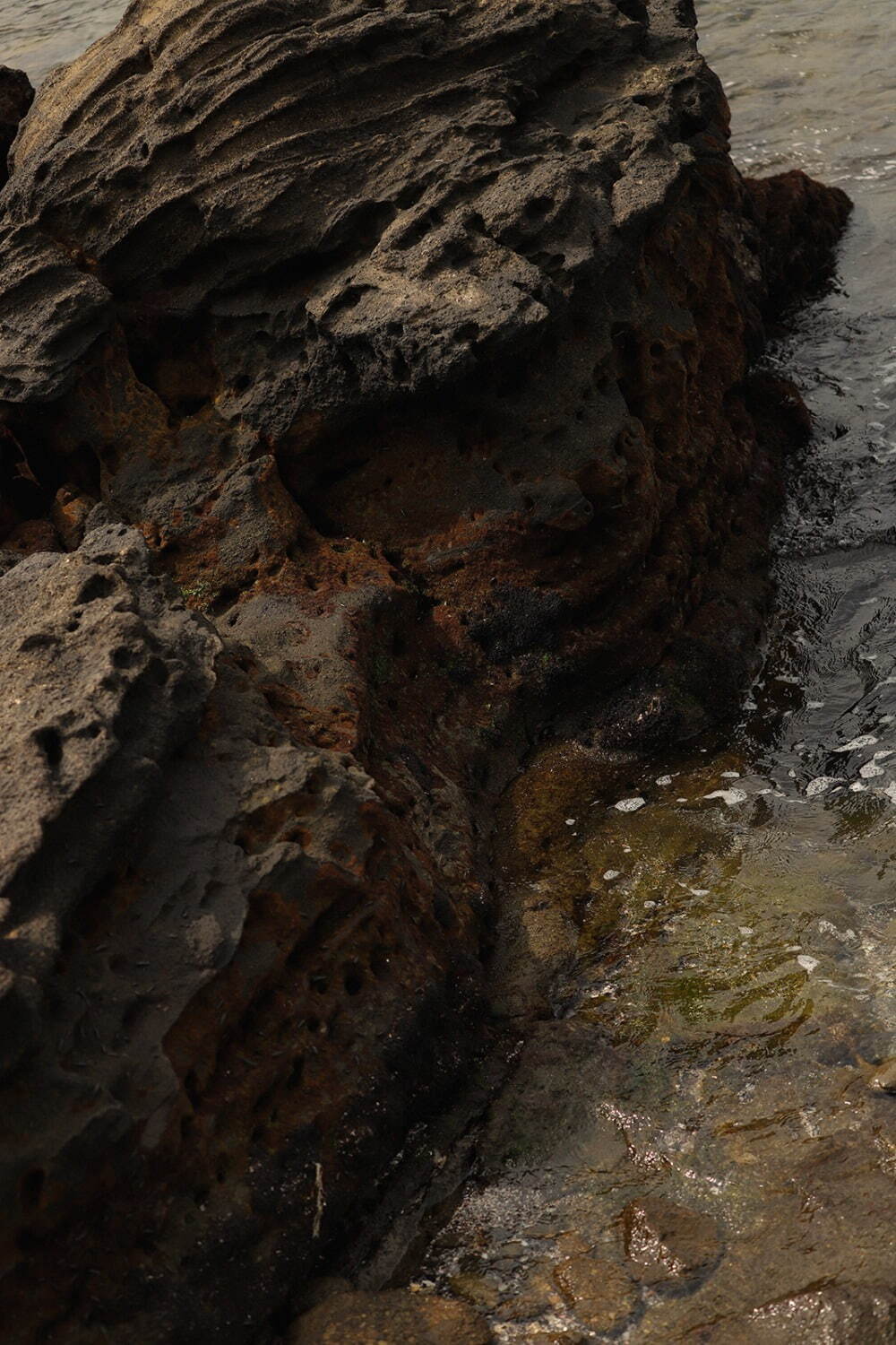 モクティ(mocT) 2022年春夏ウィメンズコレクション  - 写真18