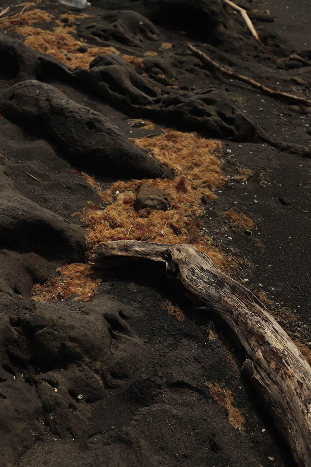 モクティ(mocT) 2022年春夏ウィメンズコレクション  - 写真22