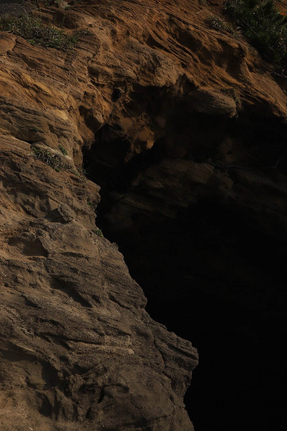 モクティ(mocT) 2022年春夏ウィメンズコレクション  - 写真27