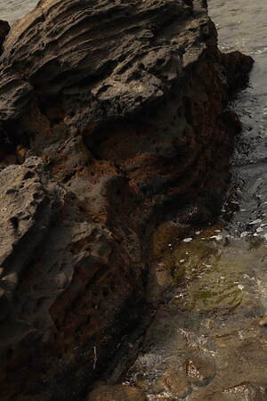 モクティ(mocT) 2022年春夏ウィメンズコレクション  - 写真18