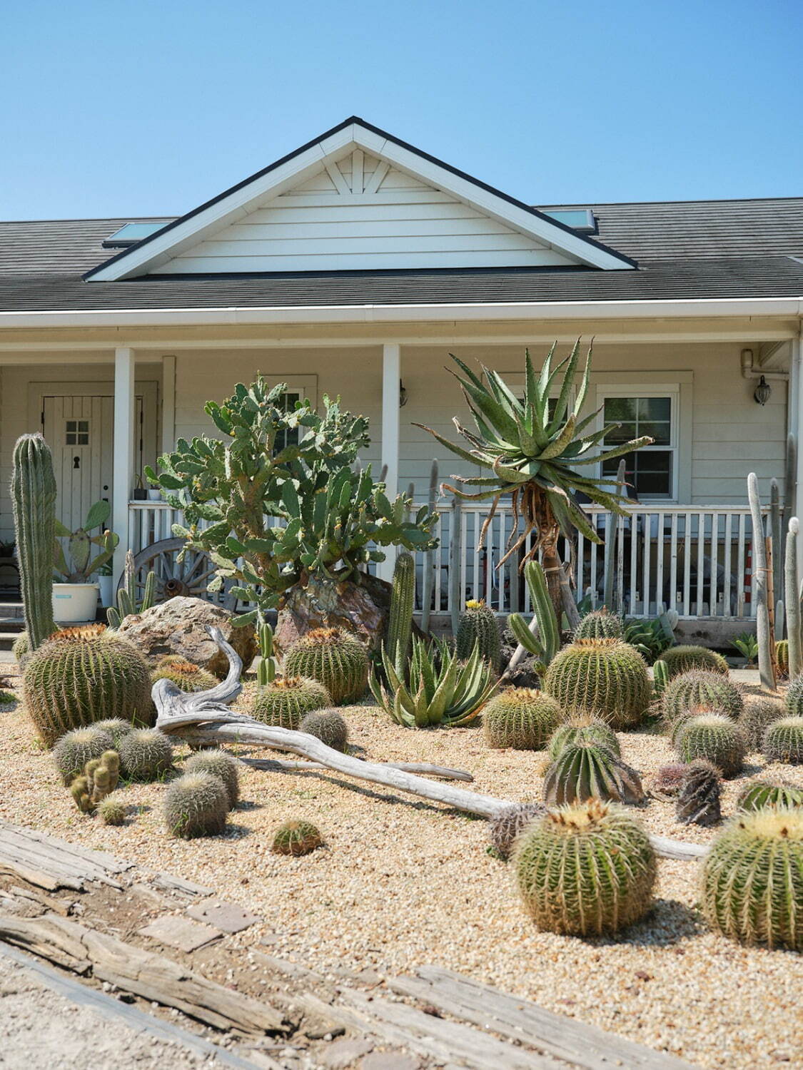 キャラバン(CARAVAN) 2022年春夏ウィメンズ&メンズコレクション  - 写真18