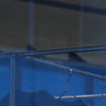 ポリプロイド(POLYPLOID) ポリプロイド｜写真10