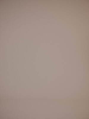 タナカダイスケ(tanakadaisuke) 2022年春夏ウィメンズコレクション  - 写真14