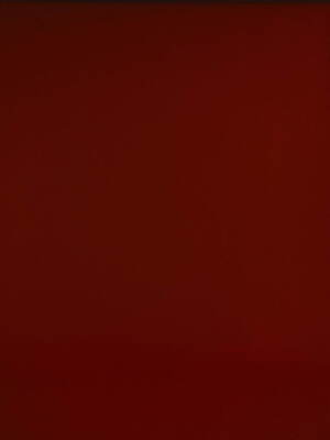 タナカダイスケ(tanakadaisuke) 2022年春夏ウィメンズコレクション  - 写真31